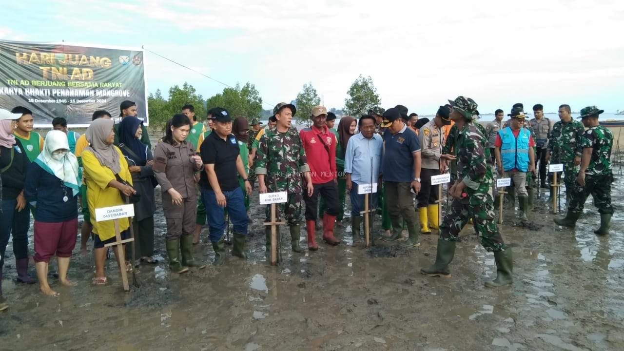Penanaman Mangrove